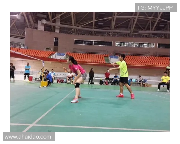 重庆羽毛球队阵地战体系解析与战术运用探讨