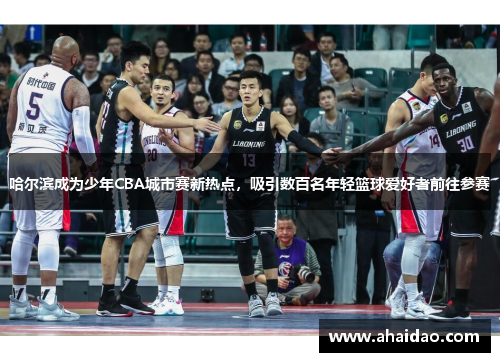 哈尔滨成为少年CBA城市赛新热点，吸引数百名年轻篮球爱好者前往参赛