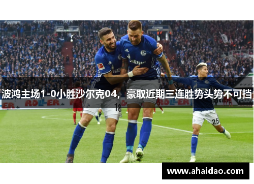波鸿主场1-0小胜沙尔克04，豪取近期三连胜势头势不可挡