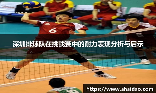 深圳排球队在挑战赛中的耐力表现分析与启示